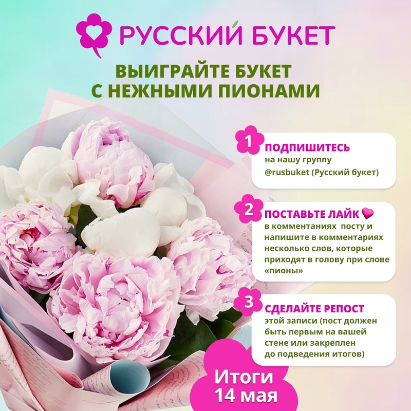 баннер пионы