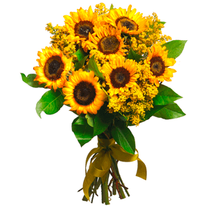 Sun kissed with delivery Magnitogorsk