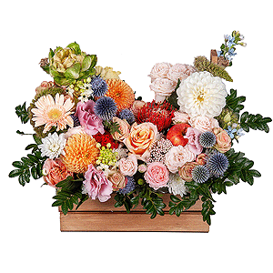 Orange Dahlia - 3, Rose Veggie 50 cm - 1, Peony sprayrose - 2, Spray rose: white, cream, light pink 50 cm - 1, Pink Lisianthus (Eustoma) - 2, Gerbera white - 5, Pink-orange rose Phoenix 50 cm - 2, Wooden pot, Oasis, Pistachio, Ozotamnus, Ornithogalum, Oksipetalum, Eryngium, Veronica spray, Celosia, Nutan, Apple, 1 pc.
