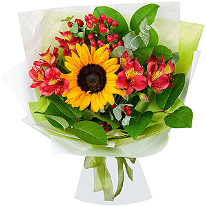 Sunny Flower with delivery Magnitogorsk