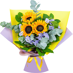 Summer fantasies with delivery Magnitogorsk
