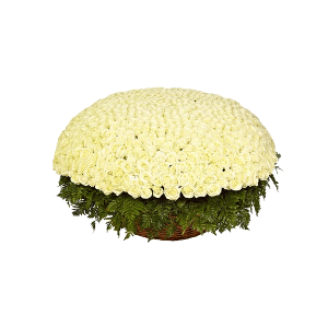 1001 White roses with delivery Magnitogorsk