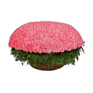 1001 Pink roses with delivery Magnitogorsk