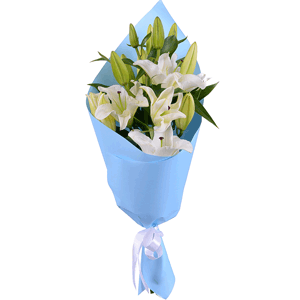 Lilies - 7, Wrapping Paper, Ribbon