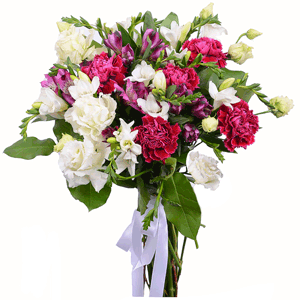 Sweet posh thing with delivery Magnitogorsk