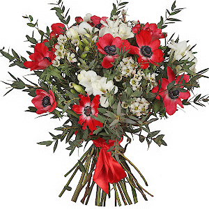 Red anemone - 12, Freesia - 7, Waxflower (1 pc.), Hypericum, Eucalyptus parvifolia (1 pc.), Ribbon