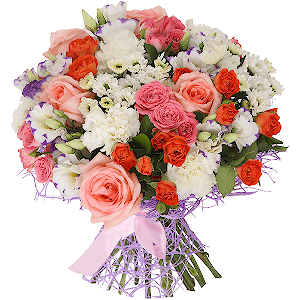 Morocco with delivery Magnitogorsk