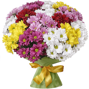 Rainbow with delivery Magnitogorsk