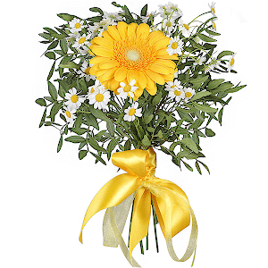 Compliment with delivery Magnitogorsk