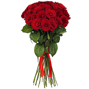 Red rose 70 cm Ecuador - 41, Ribbon