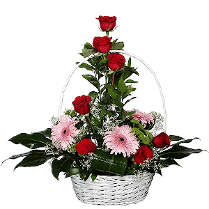 Red rose 50 cm - 10, Gerbera pink - 4, Gypsophila - 2, Athos pom Feeling Green - 2, Fatsia (1 pc.), Aspidistra (1 pc.), Ruscus, Large Basket, Oasis