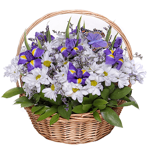 Irises - 7, Bacardi White Spray Chrysanthemum - 4, Limonium (1 pc.), Ruscus, Medium Basket, Oasis, Butterfly (decor.), 1 pc.