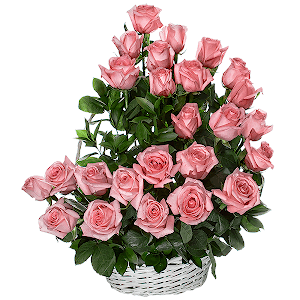 Pink rose 70 cm Ecuador  - 33, Ruscus, Oasis, Large Basket