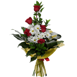 Роза красная 50 см - 9, Хризантема кустовая Бакарди белая - 5, Фатсия, Рускус, Фетр, Лента, Аспидистра