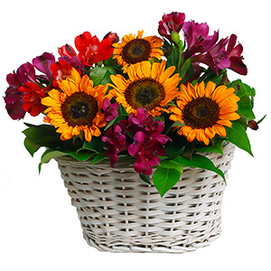 Sunflower - 5, Alstromeria lilac, purple - 4, Alstromeria Red, Bright Pink - 3, Salal, Oasis, Medium Basket