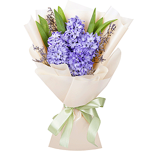 Honey aroma with delivery Magnitogorsk
