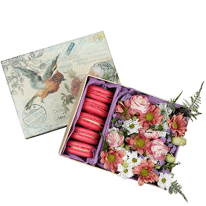 Santini White Spray Chrysanthemum - 1, Pink Lisianthus (Eustoma) - 2, Bacardi Pink Spray Chrysanthemum - 1, biscuit «Macaron» (1 pc.), Blue Statice, Asparagus setaceus (1 pc.), Oasis, Composition Box, Felt