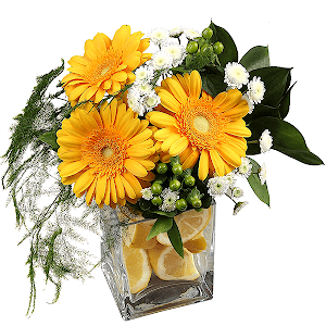 Imagination with delivery Magnitogorsk