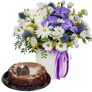 Fluffy cloud with cake with delivery Magnitogorsk