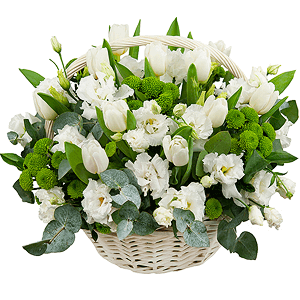 Snowdrops with delivery Magnitogorsk