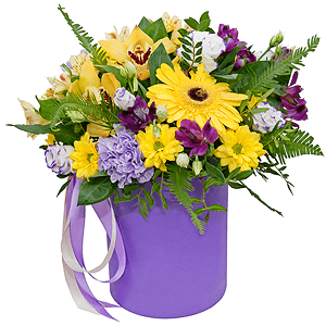 Sunbeams with delivery Magnitogorsk