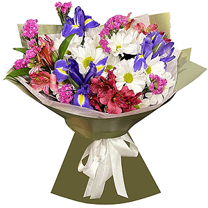 Irises - 5, Baltica White Spray Chrysanthemum - 2, Alstromeria Red, Bright Pink - 3, Pink Statice, Wrapping Paper