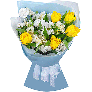 Yellow tulip - 9, Bacardi White Spray Chrysanthemum - 1, Alstromeria white, soft pink - 2, White spray carnation - 2, White statice, Wrapping Paper