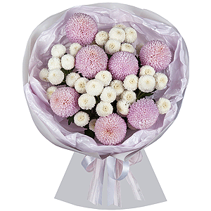 Lavender Cappuccino with delivery Magnitogorsk