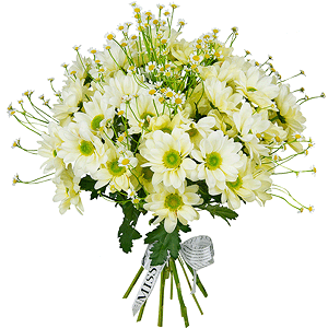 Bacardi Yellow Spray Chrysanthemum - 7, Chamomile - 8, Ribbon
