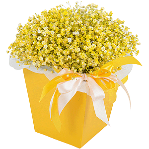 Golden Sands with delivery Magnitogorsk