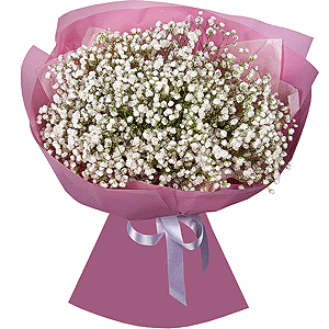Gypsophila - 9, Wrapping Paper