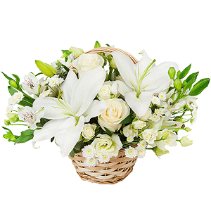 Lovebirds with delivery Magnitogorsk