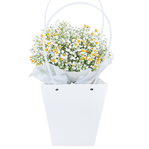 Bag with flowers with delivery Magnitogorsk