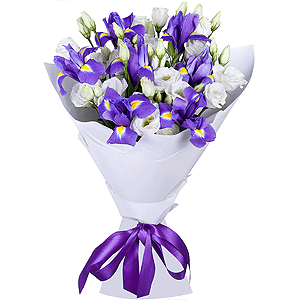 Sea Motive with delivery Magnitogorsk