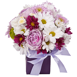 Athos poms Stallion - 3, Bacardi White Spray Chrysanthemum - 2, Spray peony rose Lavander, 50 cm - 1, Bacardi Pink Spray Chrysanthemum - 1, Baltica Pink Spray Chrysanthemum - 2, Oasis, Wrapping Paper, Ribbon