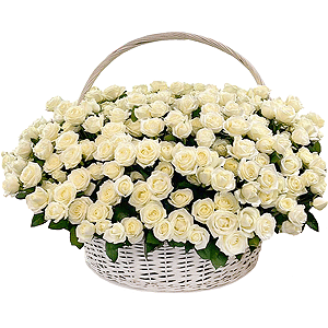Basket of 501 white roses with delivery Magnitogorsk