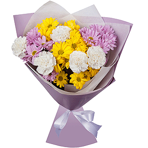 Constellation Chrysanthemum with delivery Magnitogorsk