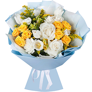 Sun in the clouds with delivery Magnitogorsk