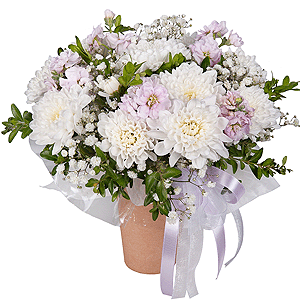 White Lace with delivery Magnitogorsk