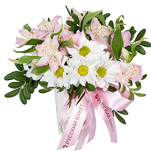 Bacardi White Spray Chrysanthemum - 1, Alstromeria white, soft pink - 4, Cardboard pot (cup), Oasis, Ribbon, Pistachio