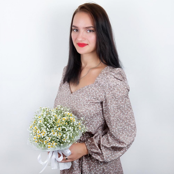 Gypsophila - 6, Chamomile - 6, Ribbon, Wrapping Paper