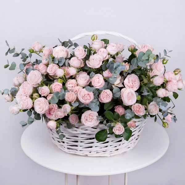 Peony sprayrose - 33, Large Basket, Oasis, Eucalyptus Cinerea