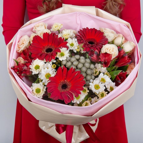 Gerbera red - 3, Santini White Spray Chrysanthemum - 5, Spray rose: white, cream, light pink 50 cm - 4, Alstromeria Red, Bright Pink - 4, Brunia Green Lanuginosa (1 pc.), Wrapping Paper, Ribbon